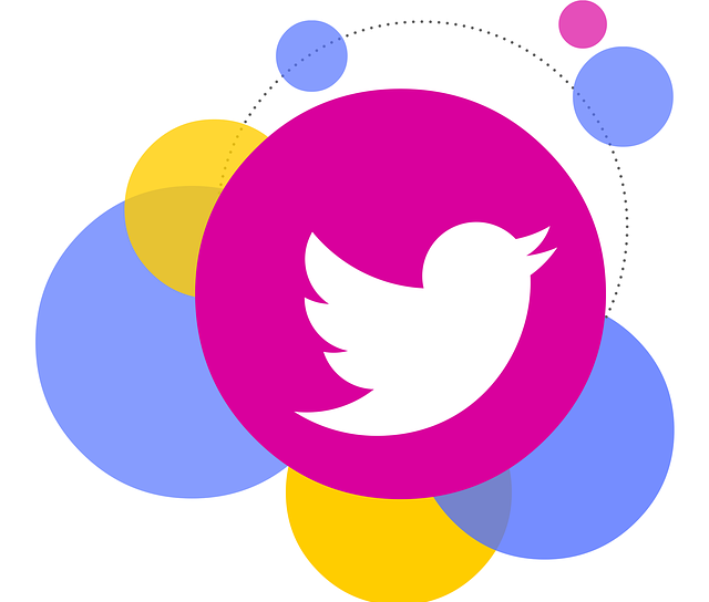 Twitter Removes Audience Insights – Impacts Social Media Analytics